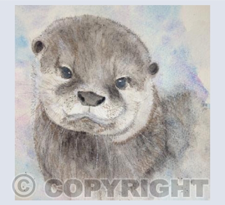 OTTER