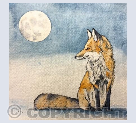 The Fox and the Moon
