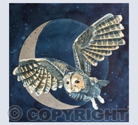 The Owl and the Waning Moon
