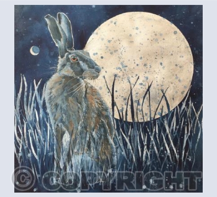 The Hare, the Moon and Venus