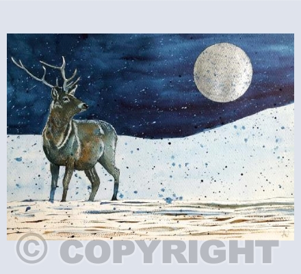Winters Night II - Stag