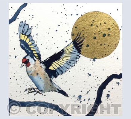 Goldfinch