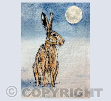 The Hare and the Moon