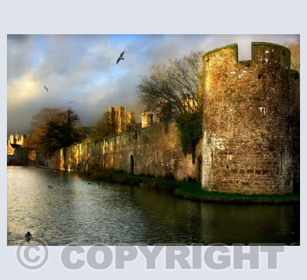 The Moat at Wells