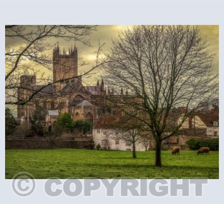 Cathedral Church of St Andrew at Wells
