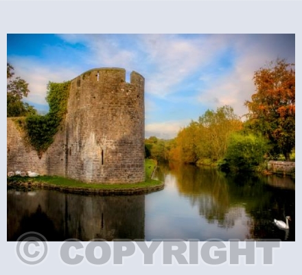 Wells Somerset Moat w Swan