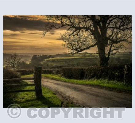 The Road to Glastonbury