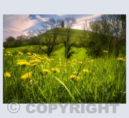 Glastonbury Tor in Spring