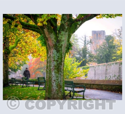 Autumn in Wells