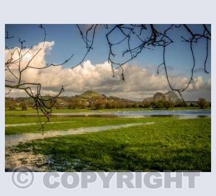 Wetlands, Glastonbury