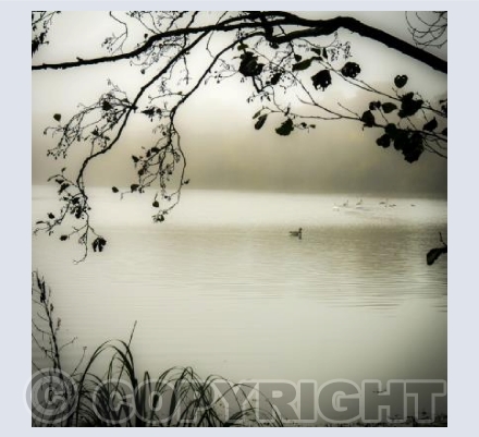 Serenity