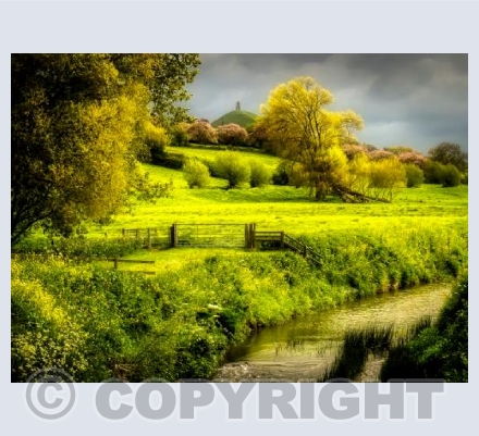 Glastonbury in Bloom