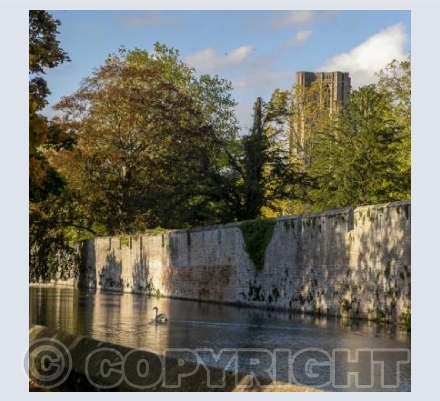Bishop's Palace Moat, Wells Somerset