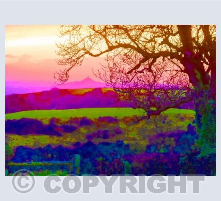 Day Trip to Glastonbury