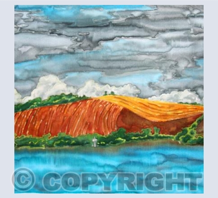 Devon's fields of gold near Salcome