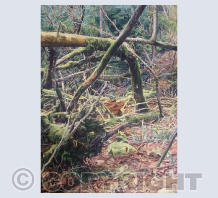 Deer Stop 13 Star and Cast