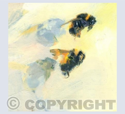 Bumble Bee 175, 176