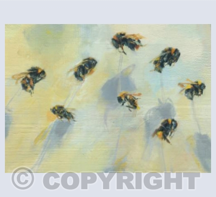 Bumble Bee 263-275 (detail)