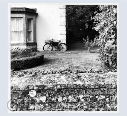 The Bicycle