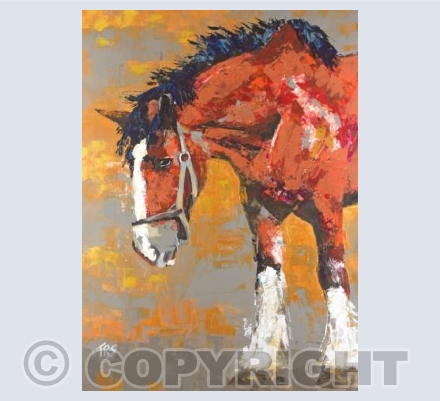 Shire Horse