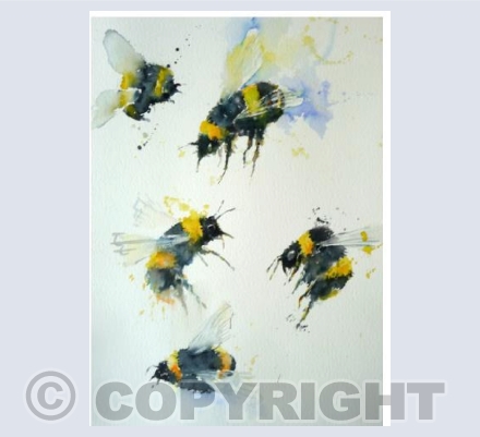 Bumblebee's 