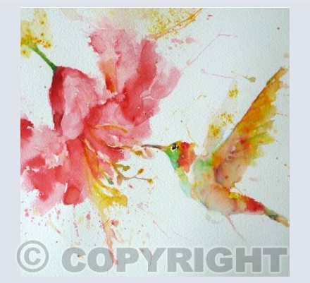Hummingbird. 
