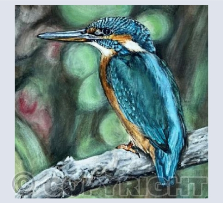 Kingfisher