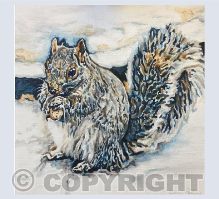 Squirrel in the Snow
