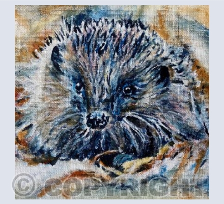 Hedgehog