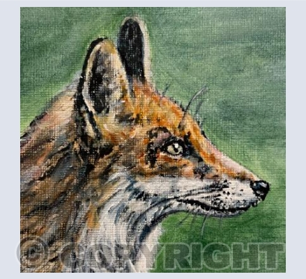 Fire Fox 