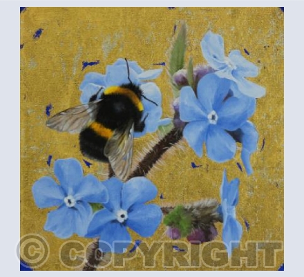 Bumblebee & Green Alkanet
