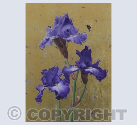 Purplr Irises & Bumblebee