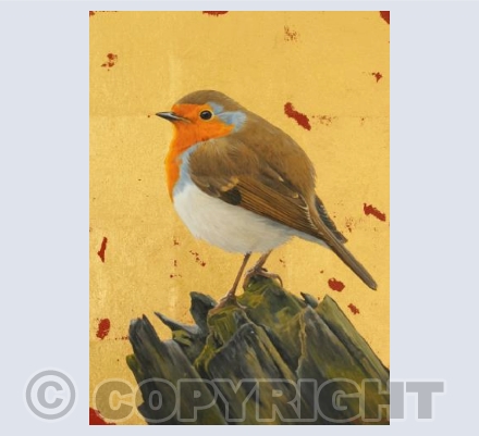 Robin