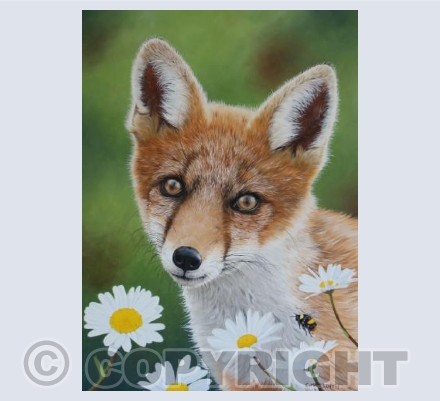 Fox Cub & Daisies