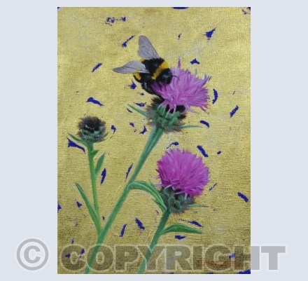 Bumblebee & Knapweed