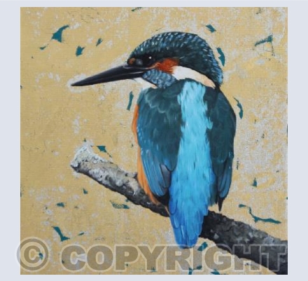 Vantage point-Kingfisher