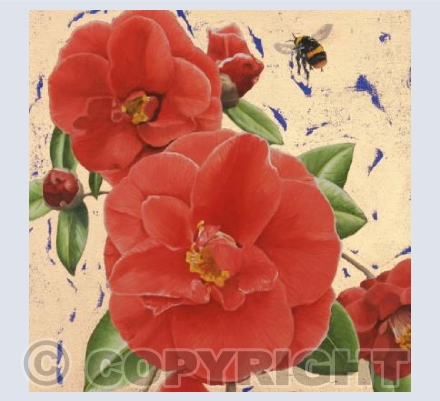 Camellias & Bumblebee