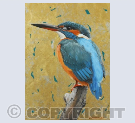 Kingfisher Portrait