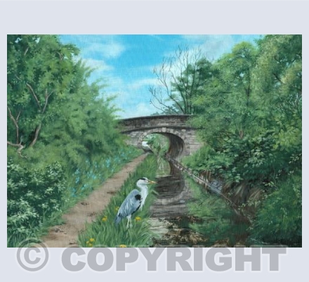 Macclesfield Canal
