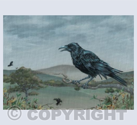 Crows in Sutton