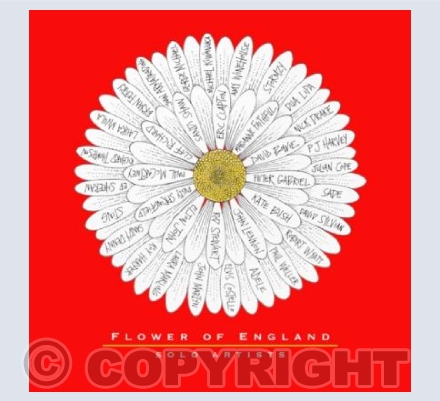 Flower of England - Solo Artists