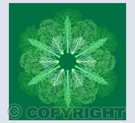 The Forest Flower (Spring)