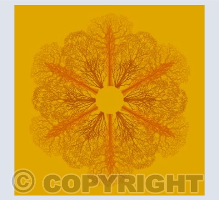 The Forest Flower (Summer)