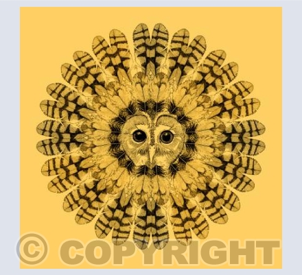The Owl Flower