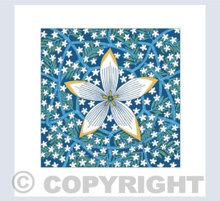 Scatter Stars Across My way