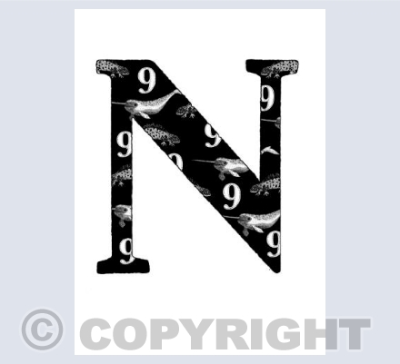 Capital N