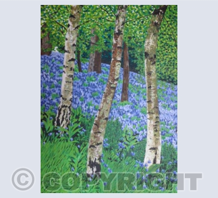Silver Birch Wood
