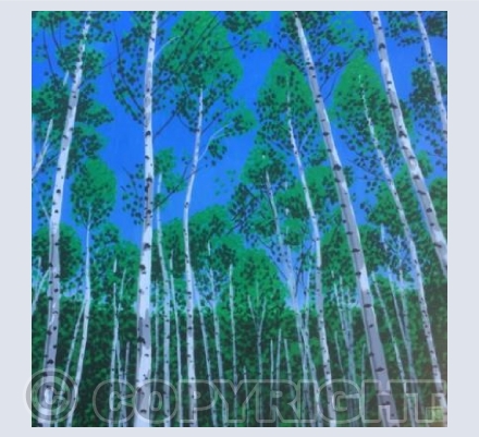 Silver Birches
