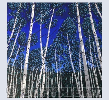 Silver Birches at Dusk