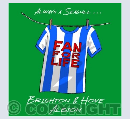 Brighton & Hove Albion 